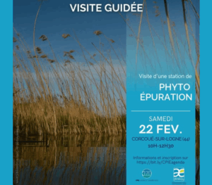 CPIE Logne et Grand-Lieu : visite d'une station de phyto-épuration