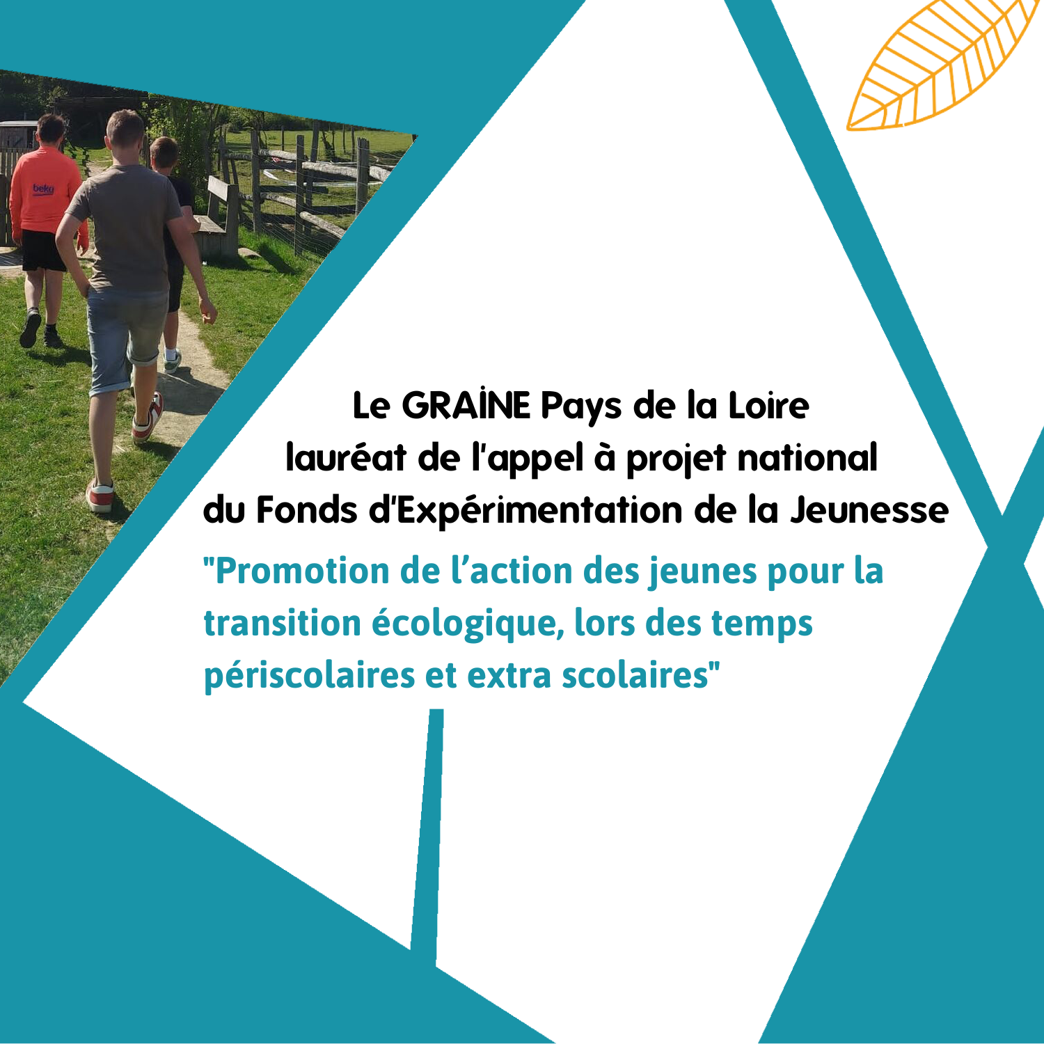 Appel à mission pour la formation-action "Transition : les jeunes prennent l’initiative"