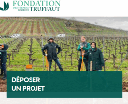 Déposer un projet à la Fondation Truffaut