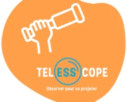 TelESScope, un outil favorisant la remontée des informations sur la situation de l’ESS en Pays de la Loire
