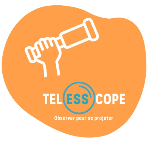 TelESScope, un outil favorisant la remontée des informations sur la situation de l’ESS en Pays de la Loire