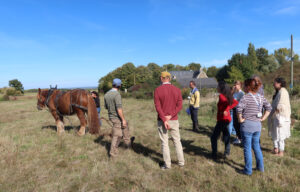 Les bienfaits de la nature sur la santé (Journée d'échanges régionale 2025 du GRAINE Pays de la Loire) La Bulle Ambu'lente - Traction animale