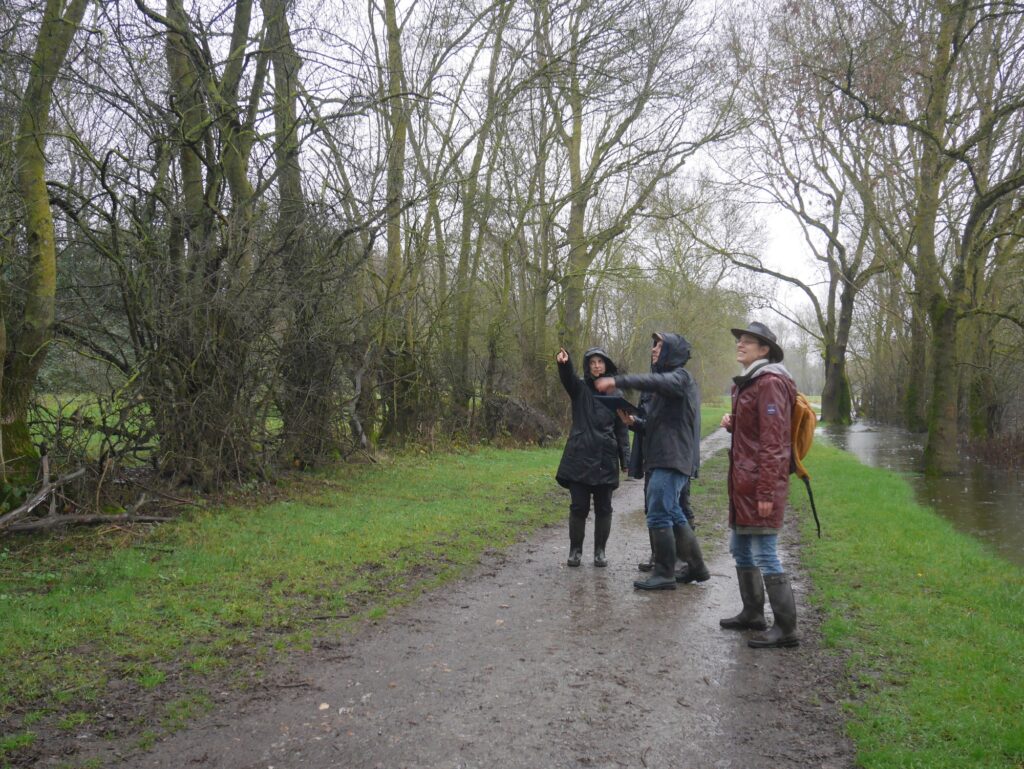 Groupe de personne travaillant devant une haie