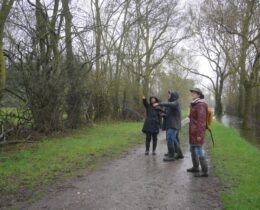 Groupe de personne travaillant devant une haie